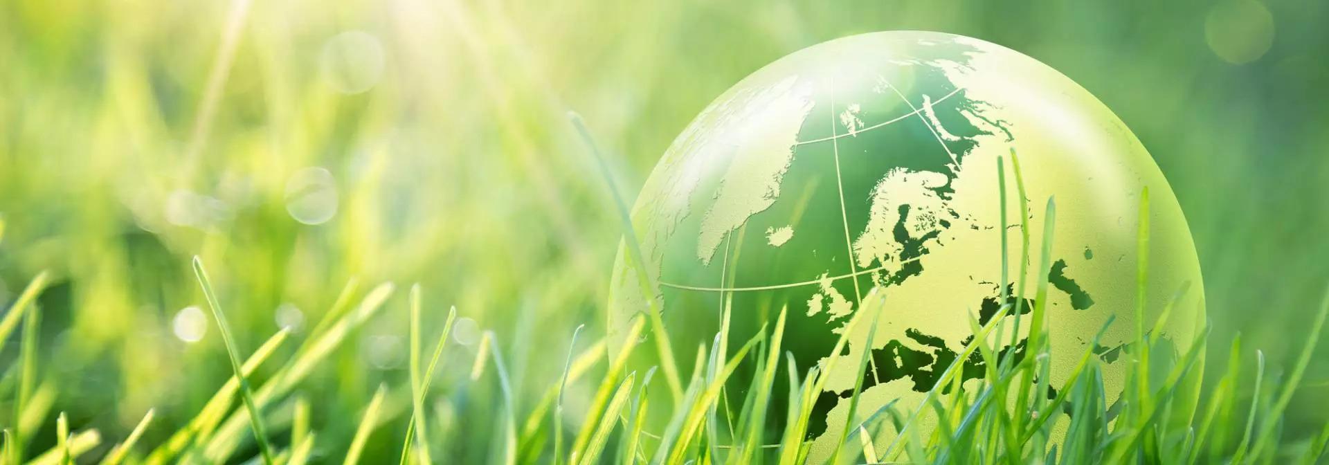 Відміна висновків СЕС